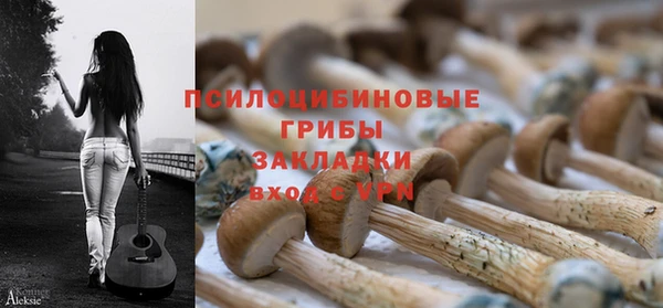 прущая мука Бородино