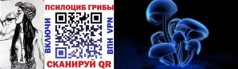 Псилоцибиновые грибы мицелий  Купить где  Заволжье 